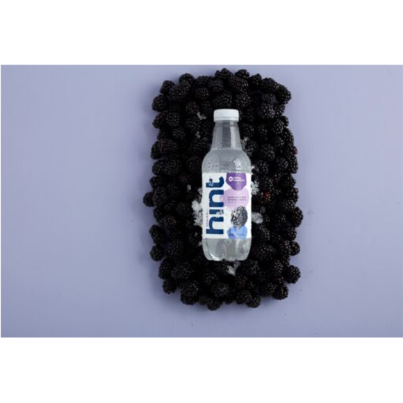 Hint® Blackberry Infused Water 16 FL Oz Plastic Bottles (12 Pack) Image2