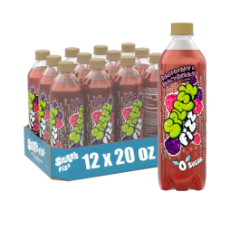 Splash Fizz™ Raspberry Blackberry Flavored Sparkling Water Beverage 20 Fl Oz Plastic Bottles (12 Pack)