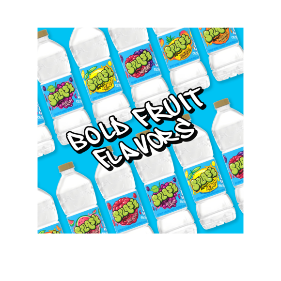 Splash Refresher™ Variety Flavored Water Beverage 16.9 Fl Oz Plastic Bottles (24 Pack) Image3