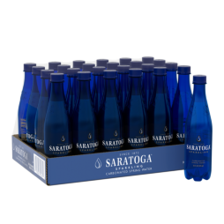 Saratoga® Sparkling Spring Water 16 Fl Oz Plastic Bottle (24 Pack)