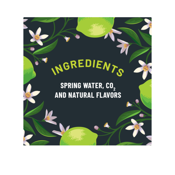 ORIGIN™ Sparkling Water Lime Flavor 16.9 Fl Oz Recycled Plastic Bottle (24 Pack) Image4