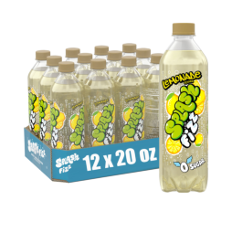 Splash Fizz™ Lemonade Flavored Sparkling Water Beverage 20 Fl Oz Plastic Bottles (12 Pack)